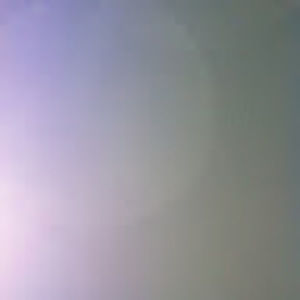 Meet your Posher, Payton